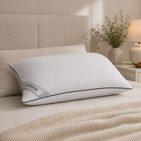 Body Balance Pillow