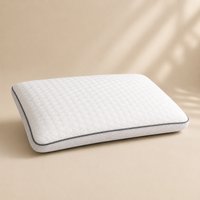 Visco Plump Pillow
