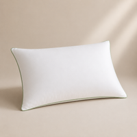 Nanolive Pillow