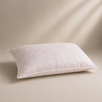 Golden Nano Pillow